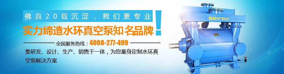 備受好評的水環真空泵